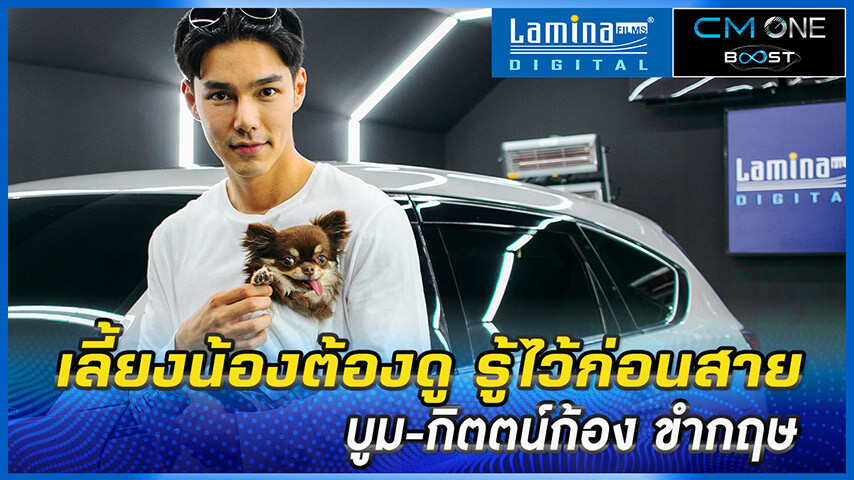 ฮีทสโตรกในสุนัขป้องกันได้ แค่ทำตามคลิปนี้ l บูม กิตตน์ก้อง x Lamina